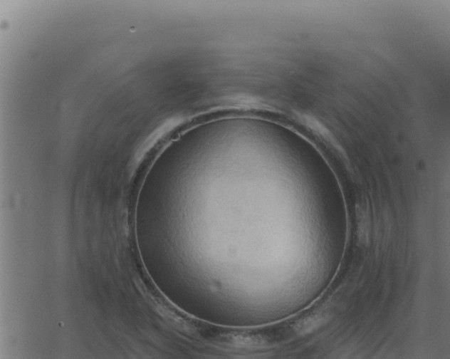 X0000062891318200601171503