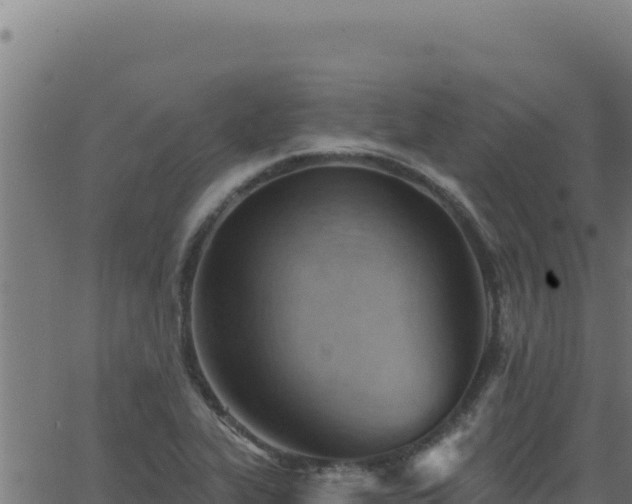 X0000062891319200601171503