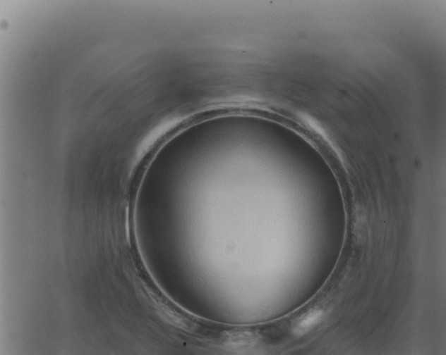 X0000062891320200601171503