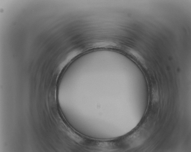 X0000062891322200601171503