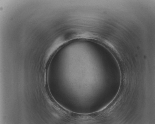 X0000062891323200601171503