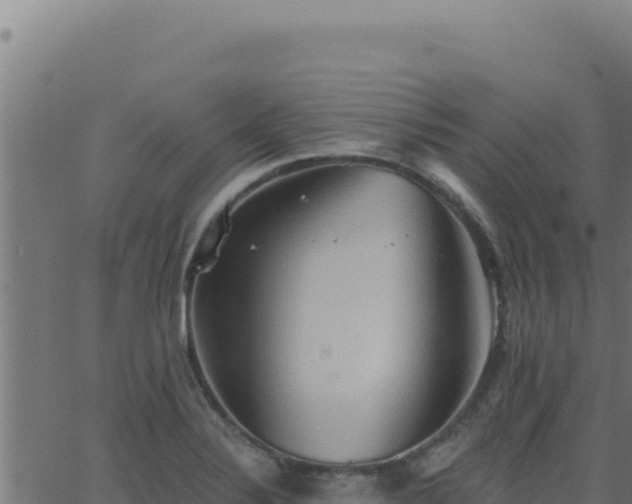 X0000062891324200601171503