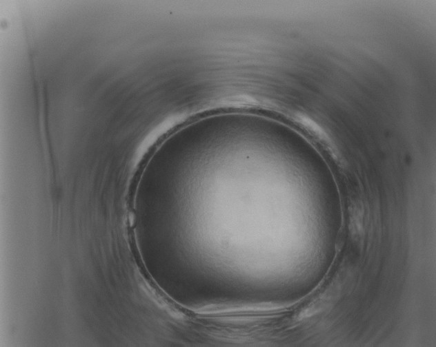 X0000062891326200601171503