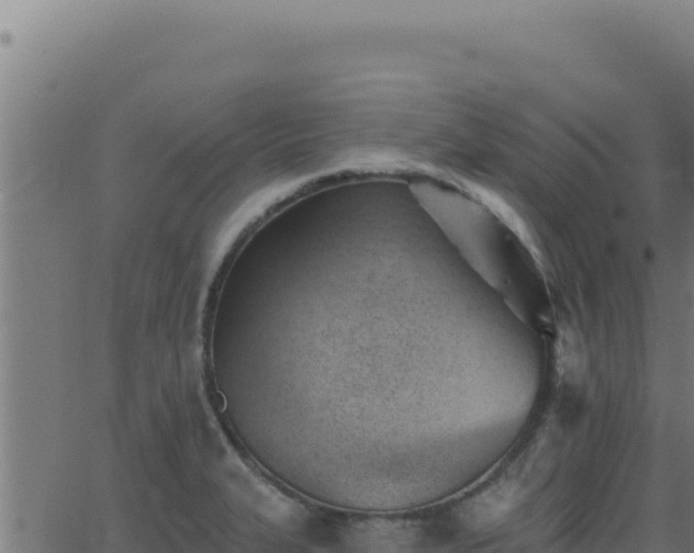 X0000062891327200601171503