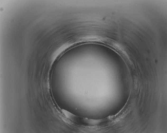 X0000062891328200601171503