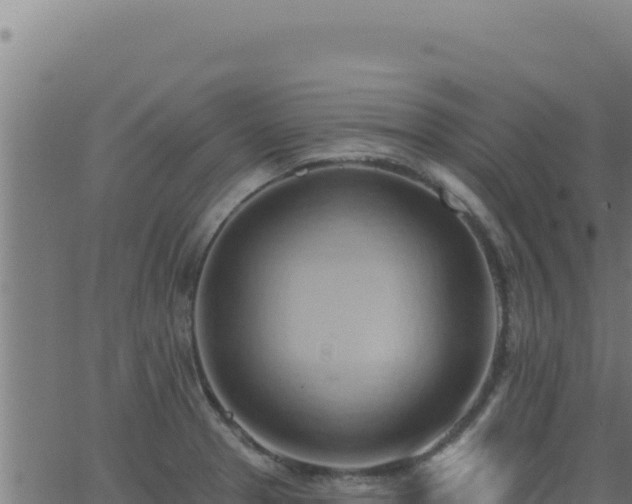 X0000062891329200601171503