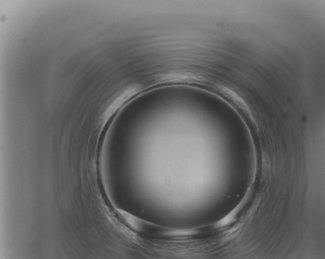 X0000062891330200601171503