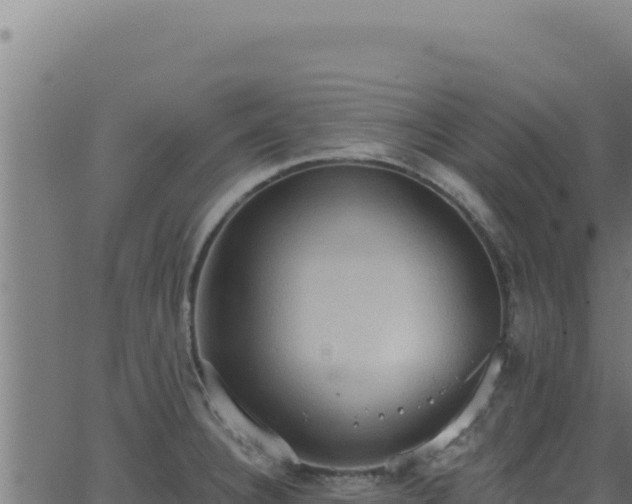 X0000062891332200601171503