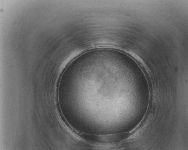 X0000062891333200601171503