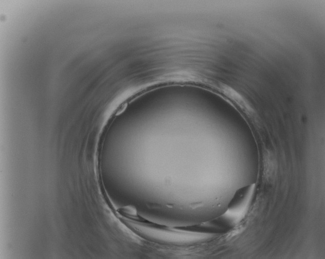 X0000062891334200601171503