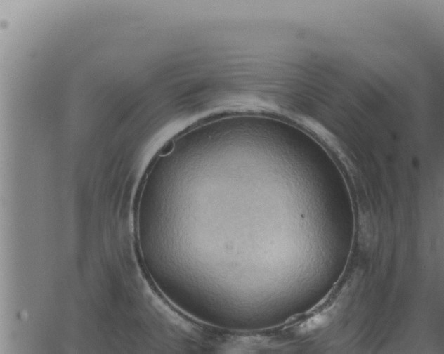 X0000062891335200601171503