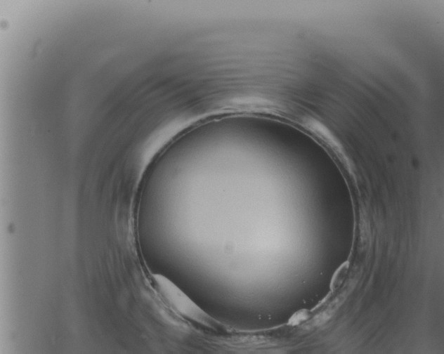 X0000062891336200601171503