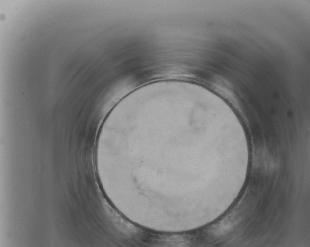 X0000062891338200601171503