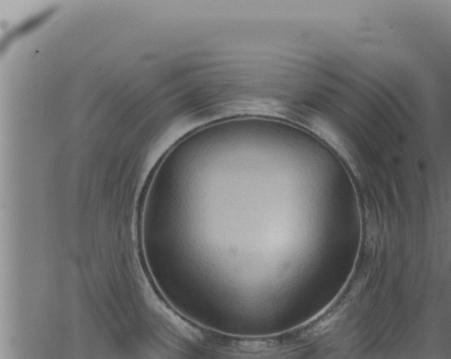 X0000062891339200601171503