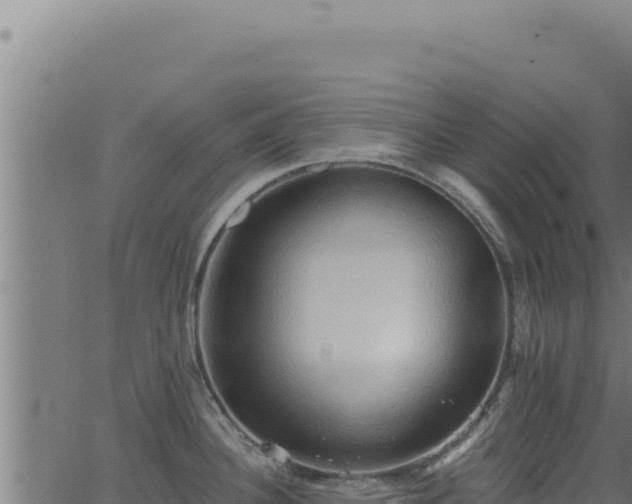 X0000062891340200601171503