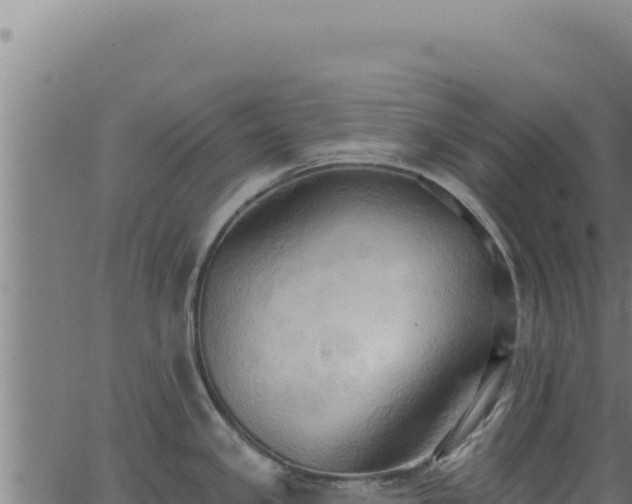 X0000062891341200601171503