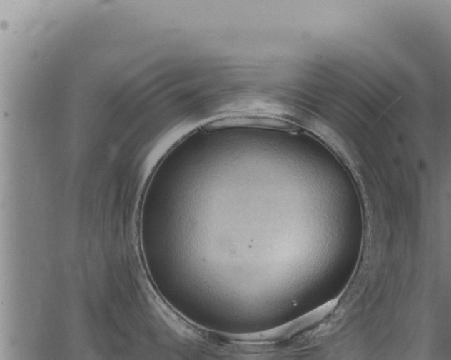 X0000062891344200601171504