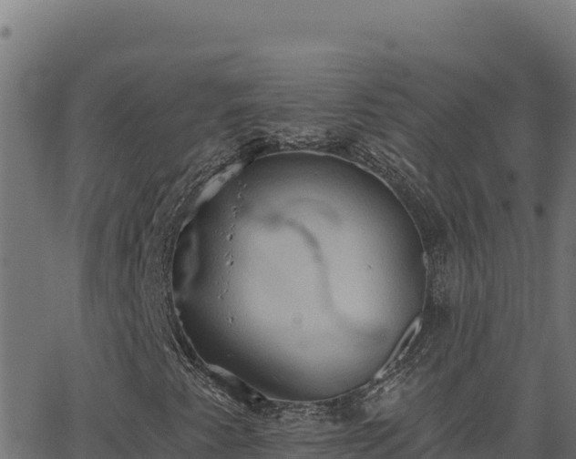 X0000062891345200601171503