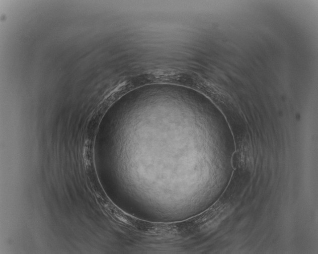 X0000062891346200601171503