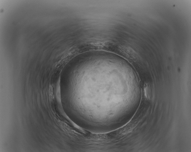 X0000062891347200601171503