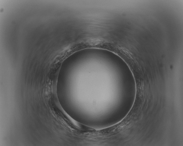 X0000062891349200601171503