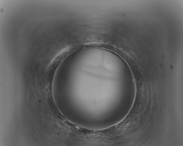 X0000062891351200601171503