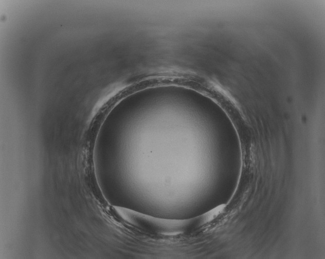 X0000062891352200601171503