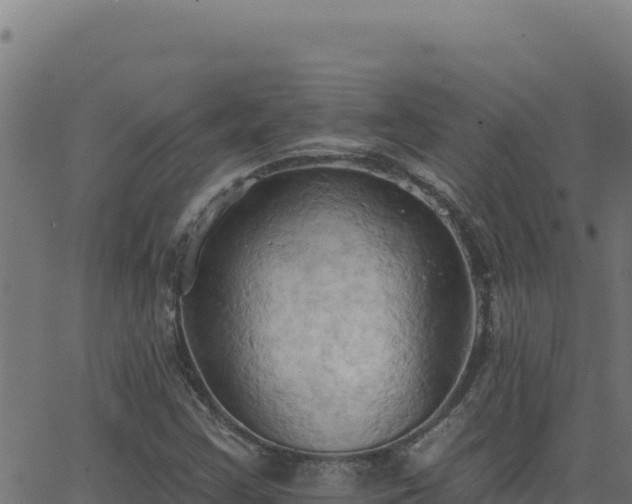 X0000062891355200601171503