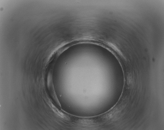 X0000062891356200601171503