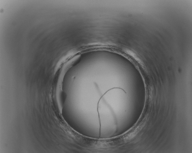 X0000062891357200601171503