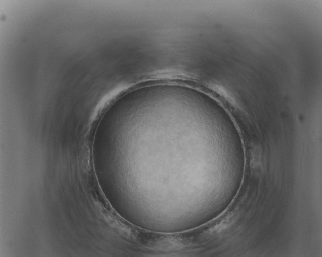 X0000062891358200601171503