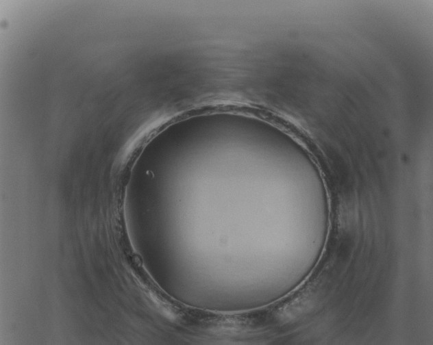 X0000062891359200601171503