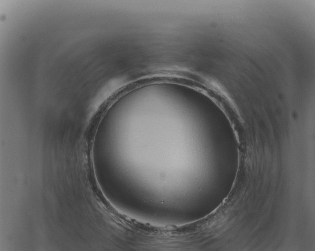 X0000062891360200601171502