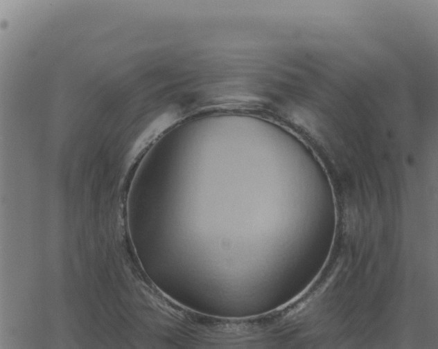 X0000062891362200601171502