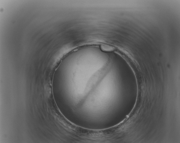 X0000062891363200601171502