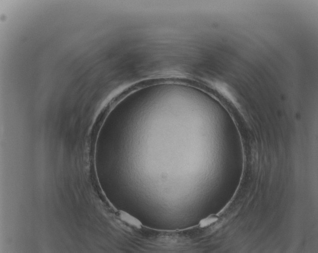 X0000062891364200601171502