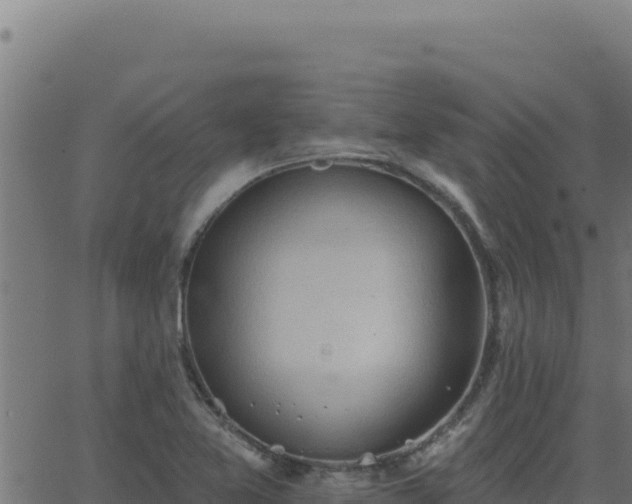 X0000062891365200601171502