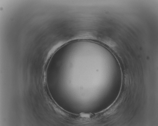 X0000062891366200601171502