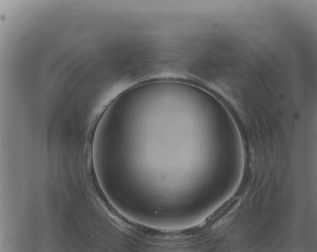 X0000062891367200601171502