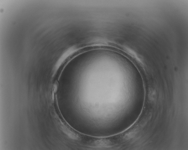 X0000062891368200601171502