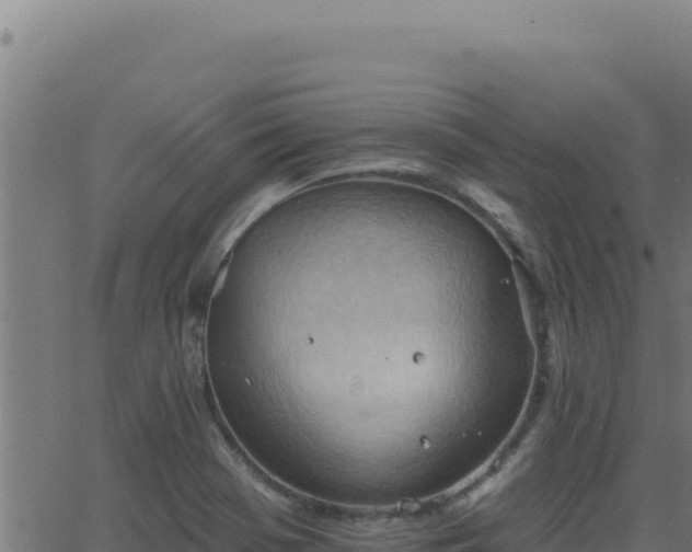 X0000062891369200601171502