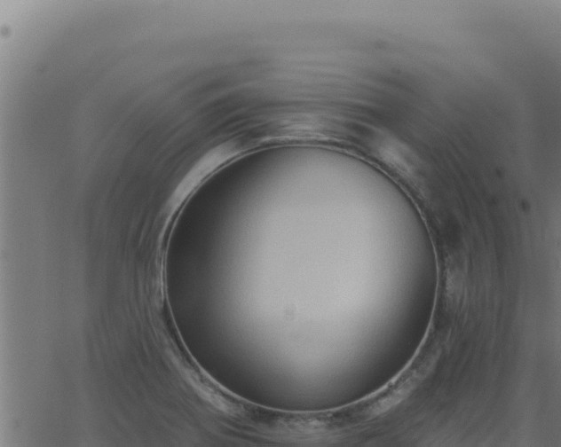 X0000062891370200601171502