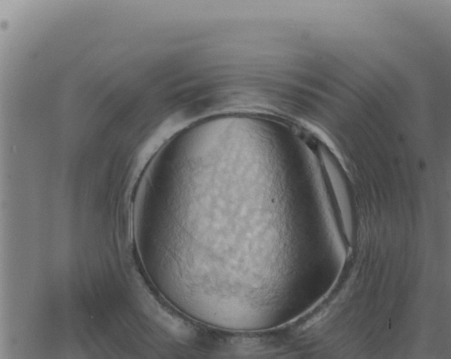 X0000062891371200601171502