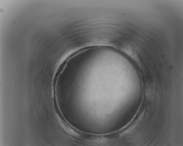 X0000062891372200601171502