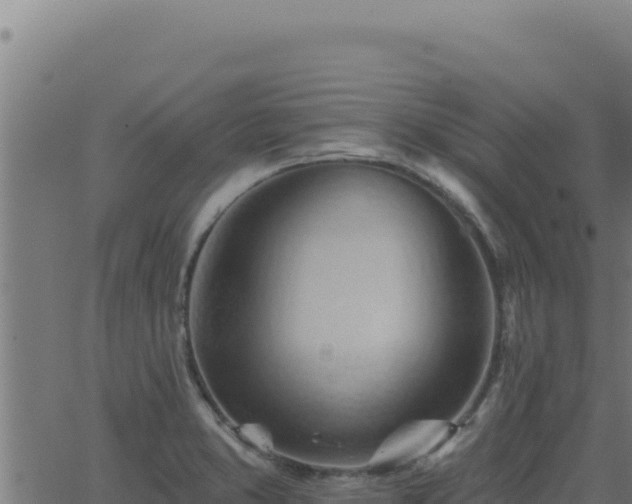 X0000062891373200601171502