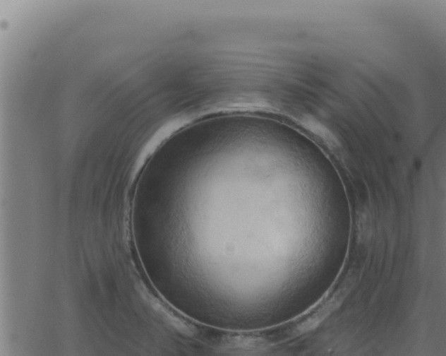 X0000062891374200601171502