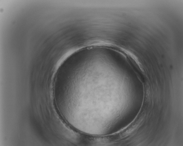 X0000062891375200601171502