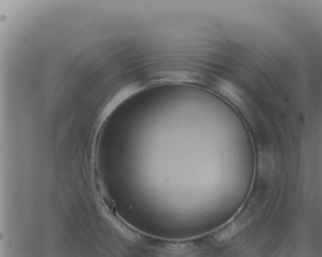 X0000062891378200601171502