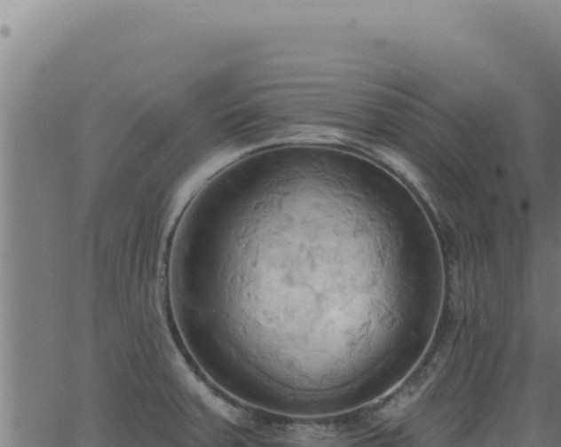 X0000062891379200601171502