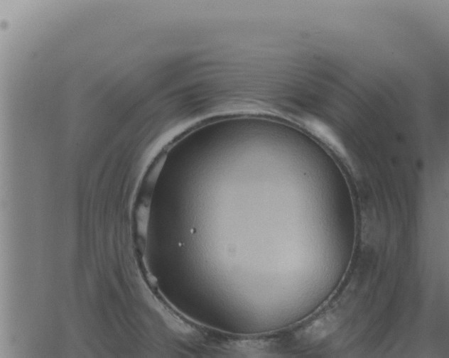 X0000062891380200601171502